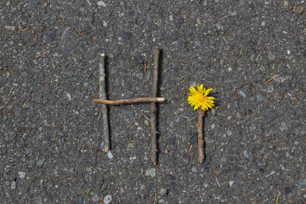 Here’s a Little&nbsp;Introduction